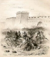 Bari871