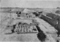 Bassianae-468