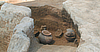 Crustumerium