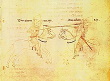 Ravenna-490