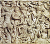 Salici