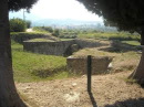 Salona-536