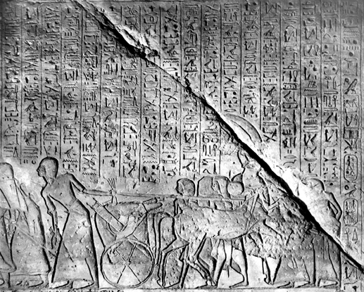 Participants in the battle of Kadesh